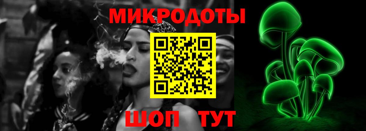 Псилоцибиновые грибы Cubensis Белогорск